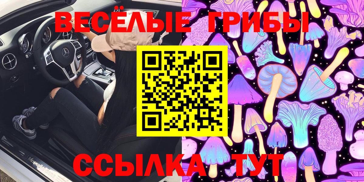 Псилоцибиновые грибы ЛСД Тверь